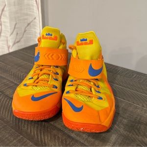 Nike Lebron Shoes